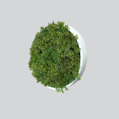 Artificial reindeer moss wall circular art panel MDF White - 30cm