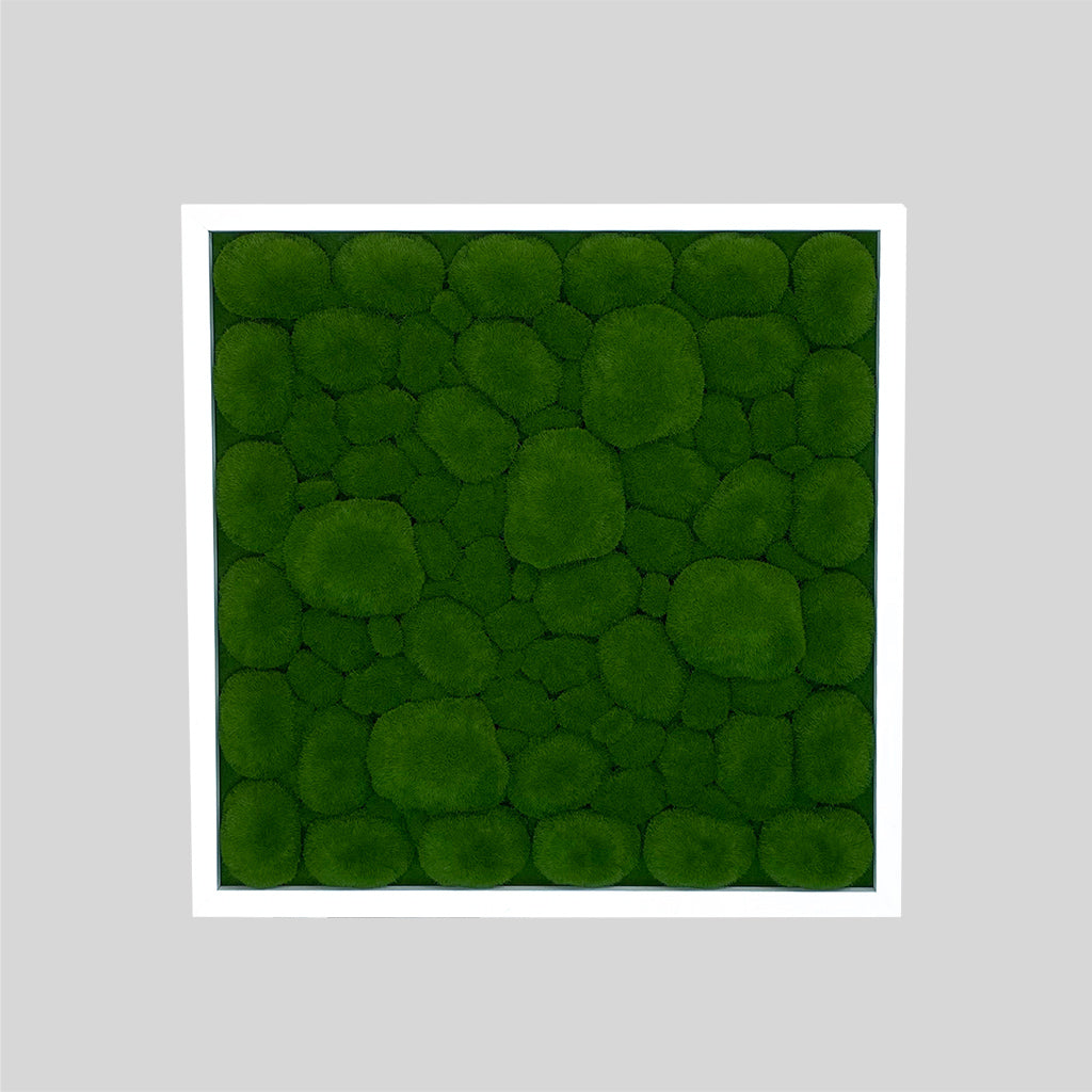 Artificial bun moss wall square art panel MDF White - 50cm