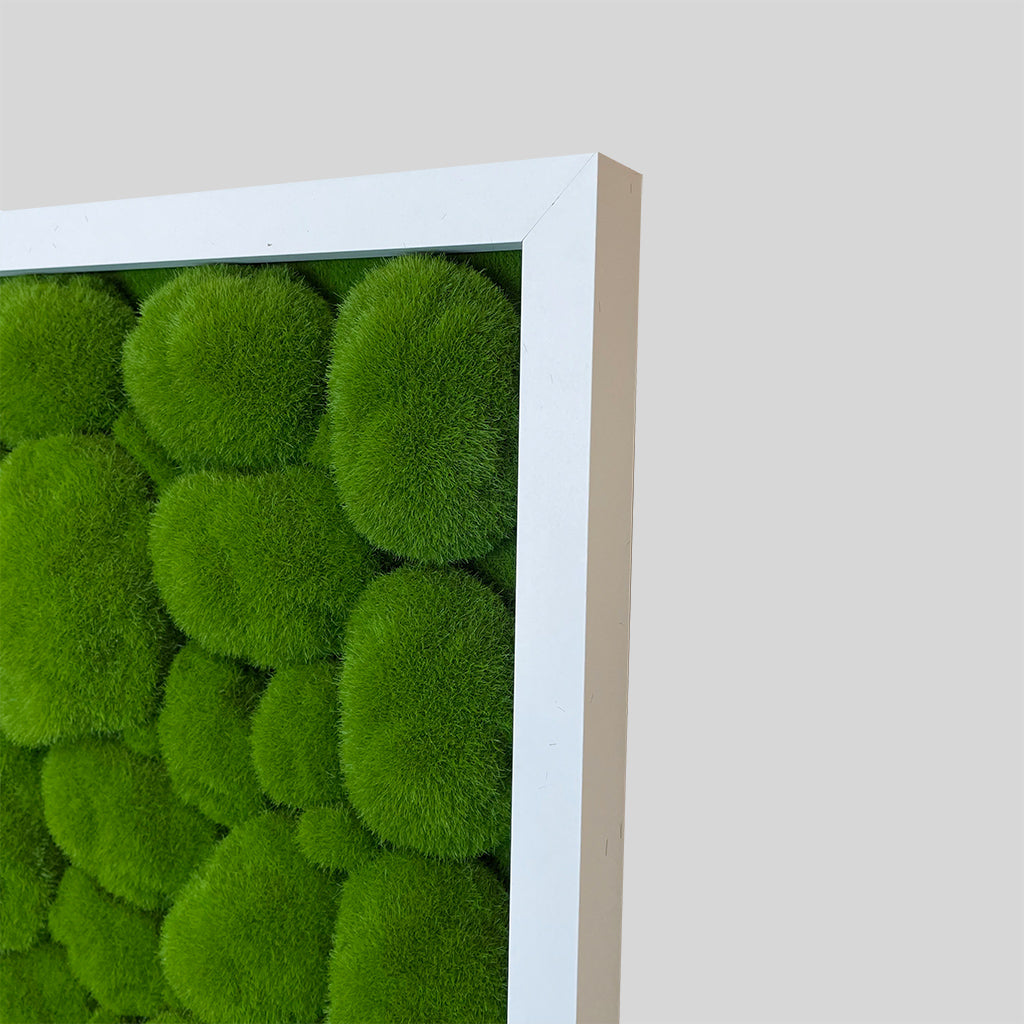 Artificial bun moss wall square art panel MDF White - 50cm