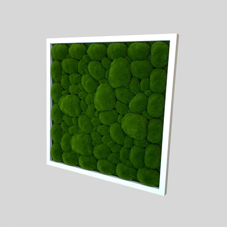 Artificial bun moss wall square art panel MDF White - 50cm