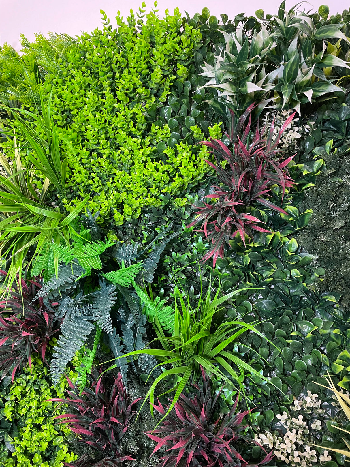 Artificial green wall panel with variegated green red foliage, yellow grasses ferns and eucalyptus  100x100 cm