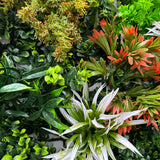 Green wall panel variegated  green foliage  palms heads, green & white tipped  grasses & orange tipped bushes 100x100 cm