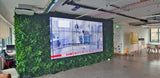 Artificial green wall panel with variegated foliage ivy palms grasses and ferns 100x100 cm - www.greenplantwalls.co.uk