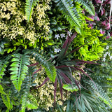 Artificial green wall panel with variegated mixed green red and white foliage 100x100 cm