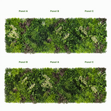 Combo of 3 x Artificial green wall panel with variegated mixed green red and white foliage