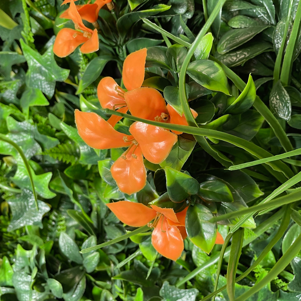 Orange flower bundle x 2