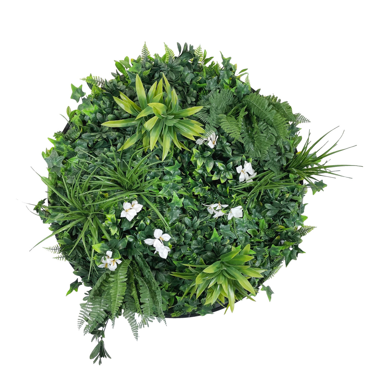 Green foliage wreath with multiple white blossoms and broad green leaves