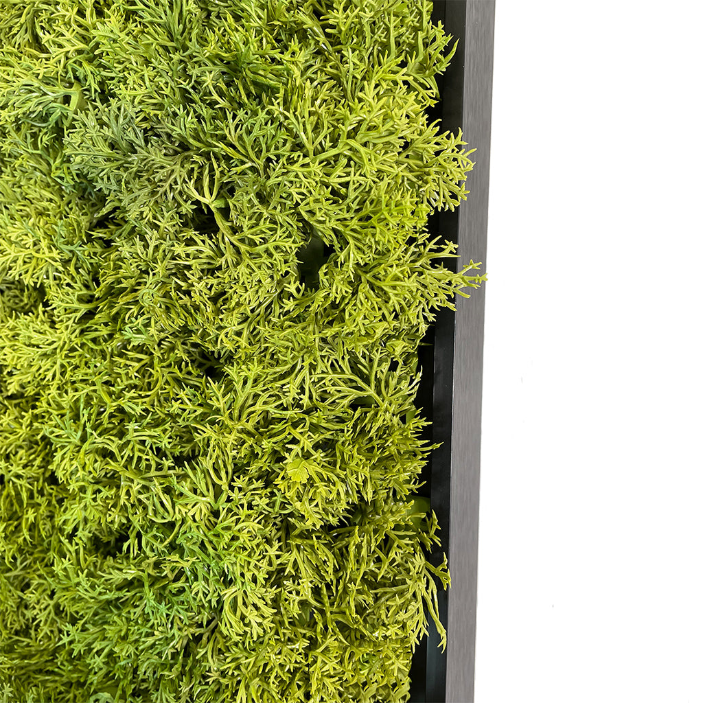 Artificial Reindeer  moss wall square art panel Aluminium frame  - 100cm