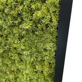Artificial reindeer moss wall rectangle art panel MDF Black - 100x50cm