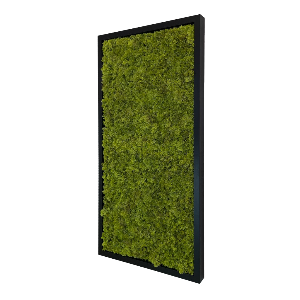 Artificial reindeer moss wall rectangle art panel MDF Black - 100x50cm