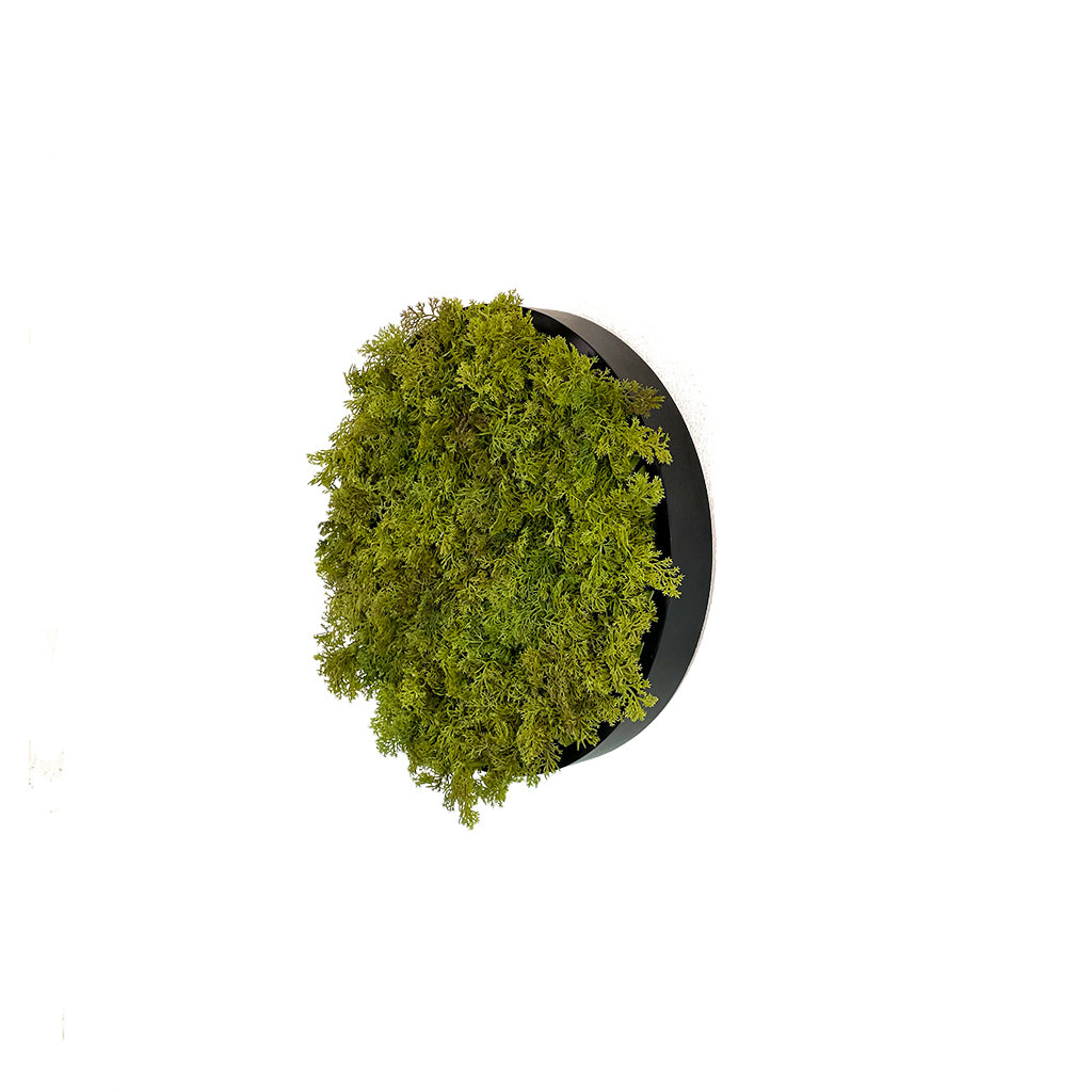 Artificial reindeer moss wall circular art panel MDF Black - 30cm