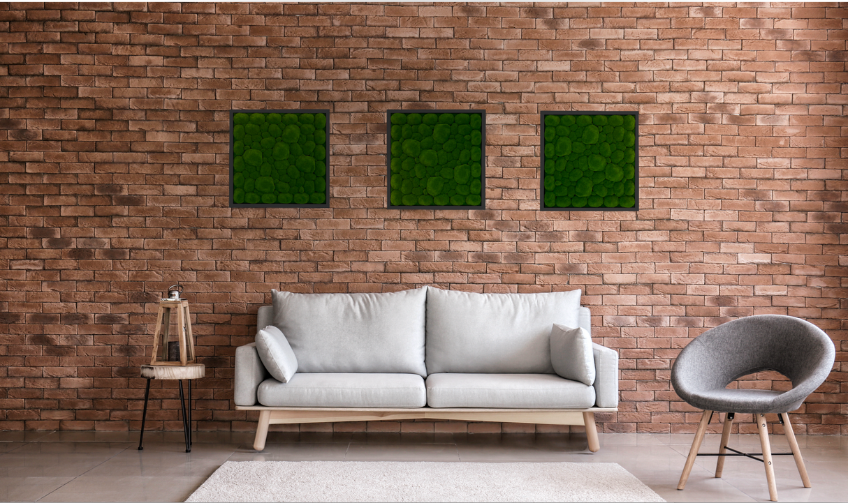 Artificial bun moss wall square art panel MDF White - 50cm