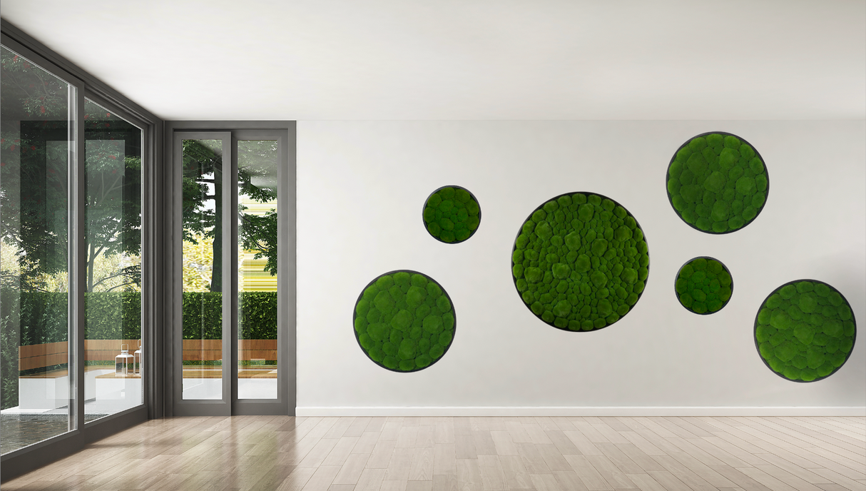 Artificial bun moss wall circular art panel MDF White - 80cm