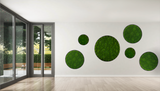 Artificial bun moss wall circular art panel MDF Black - 80cm