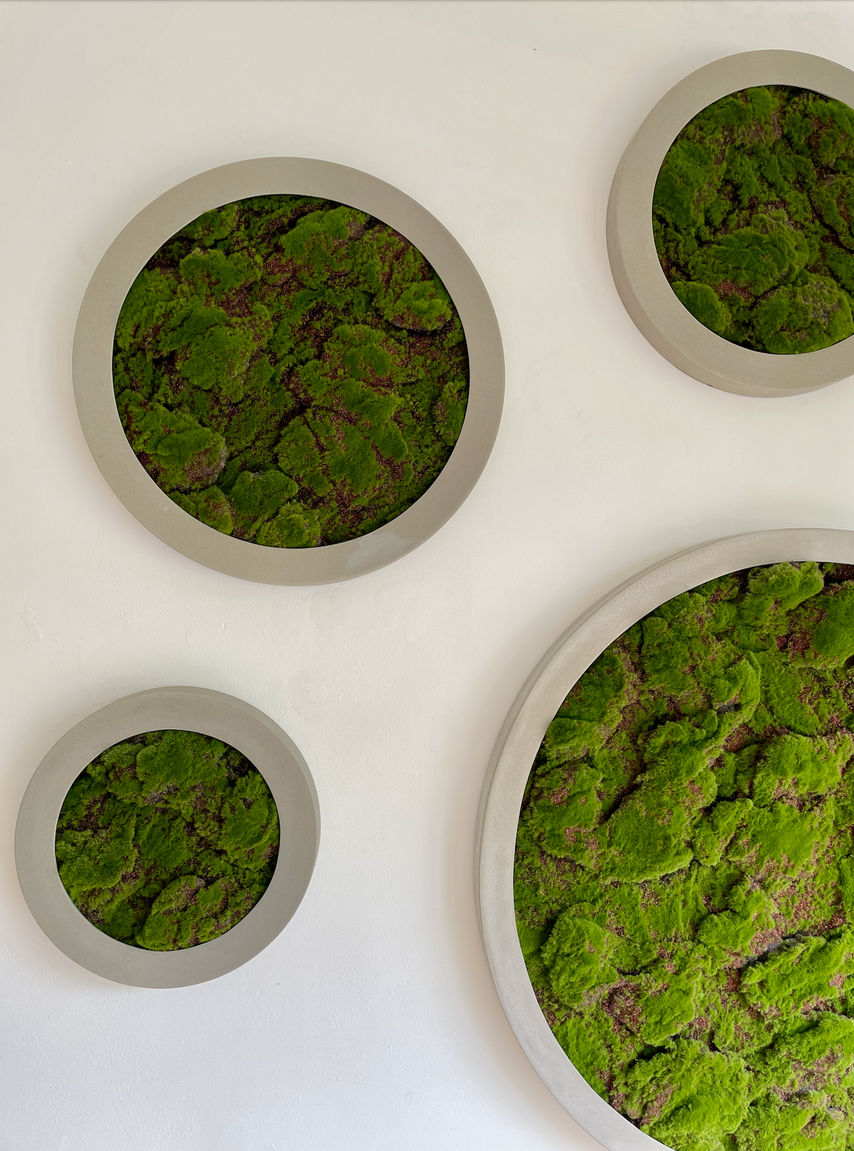 Artificial lumpy moss circular art panel GRP concrete-stone effect