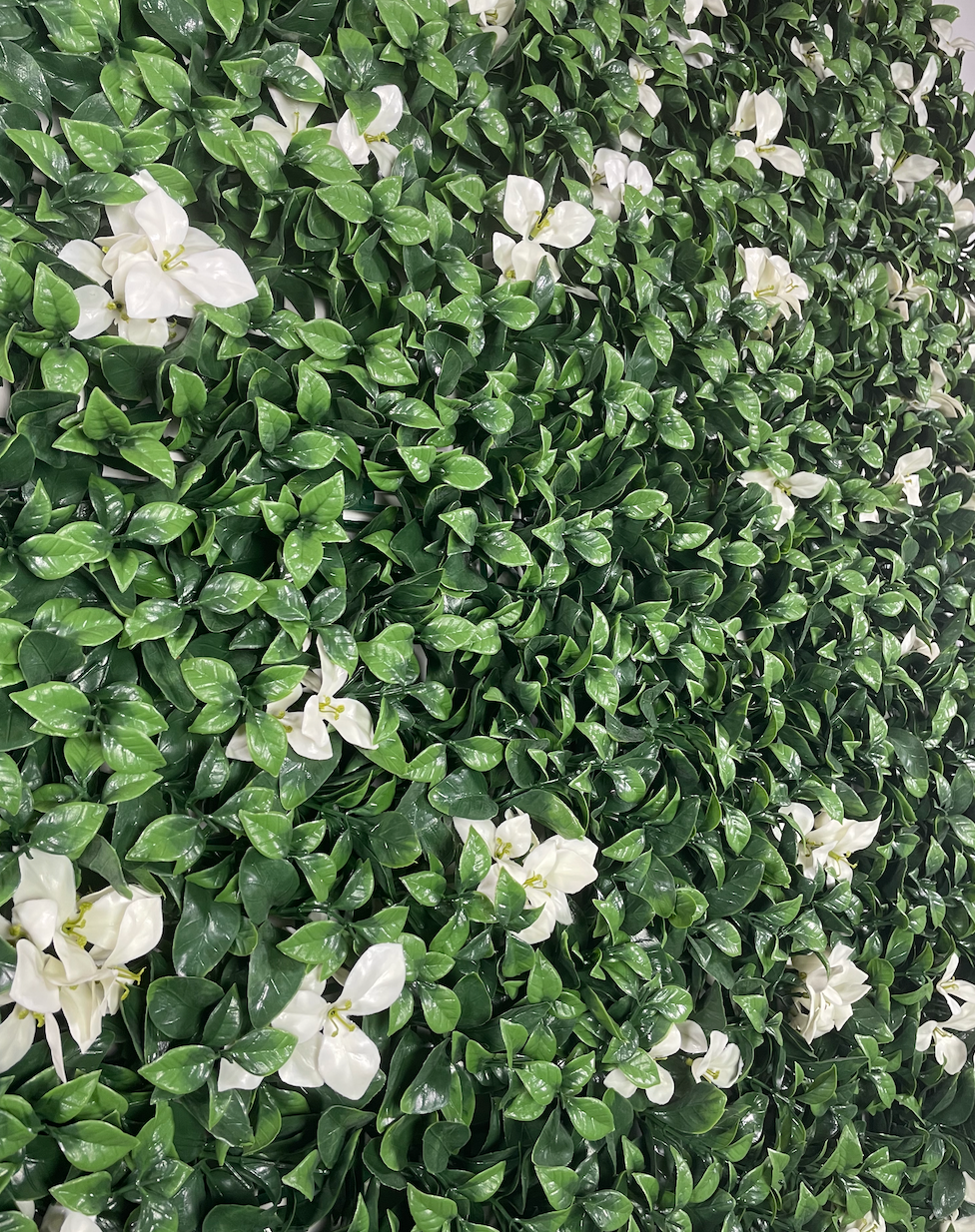 Artificial green wall panel with variegated green foliage and white gardenia  flowers 100x100 cm