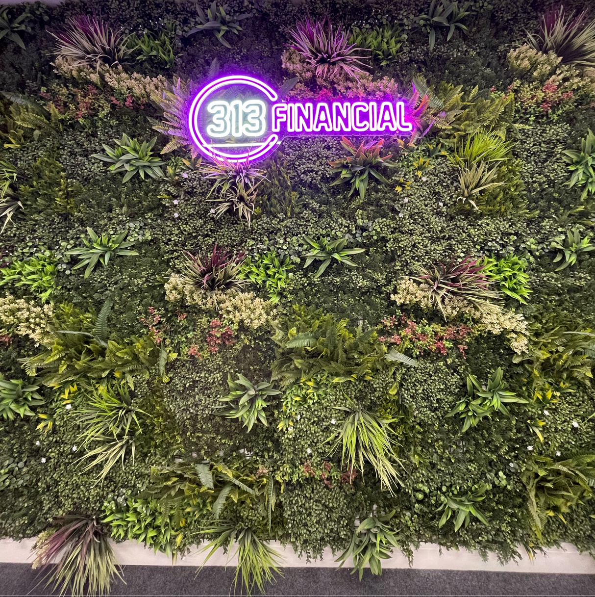 Combo of 3 x Artificial green wall panel with variegated mixed green yellow red orange and white foliage