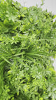 Artificial green wall panel with mixed 3d light-dark green foliage  100x100 cm