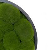 Artificial bun moss wall circular art panel MDF Black - 30cm