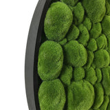 Artificial bun moss wall circular art panel MDF Black - 80cm