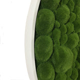 Artificial bun moss wall circular art panel MDF White - 80cm