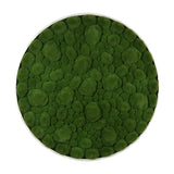 Artificial bun moss wall circular art panel MDF White - 80cm