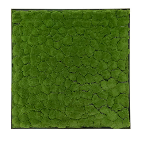 Framed Artificial green bun moss art panel 100x100 cm - www.greenplantwalls.co.uk