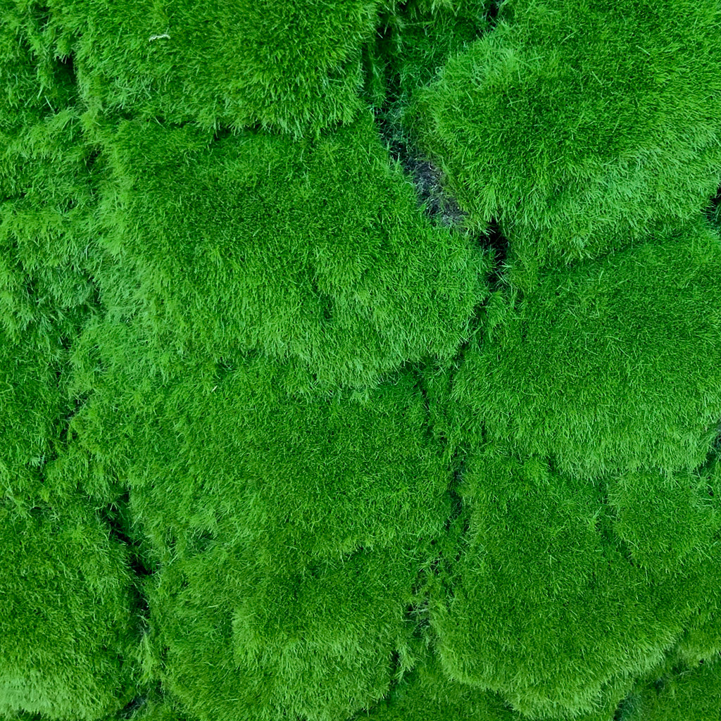 Framed Artificial green bun moss art panel 100x100 cm - www.greenplantwalls.co.uk