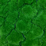 Artificial green bun moss panel - www.greenplantwalls.co.uk