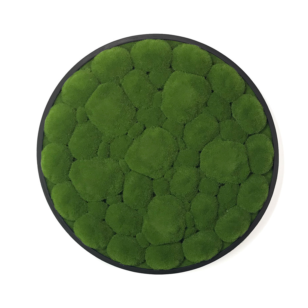 Artificial bun moss wall circular art panel aluminium Black - 50cm