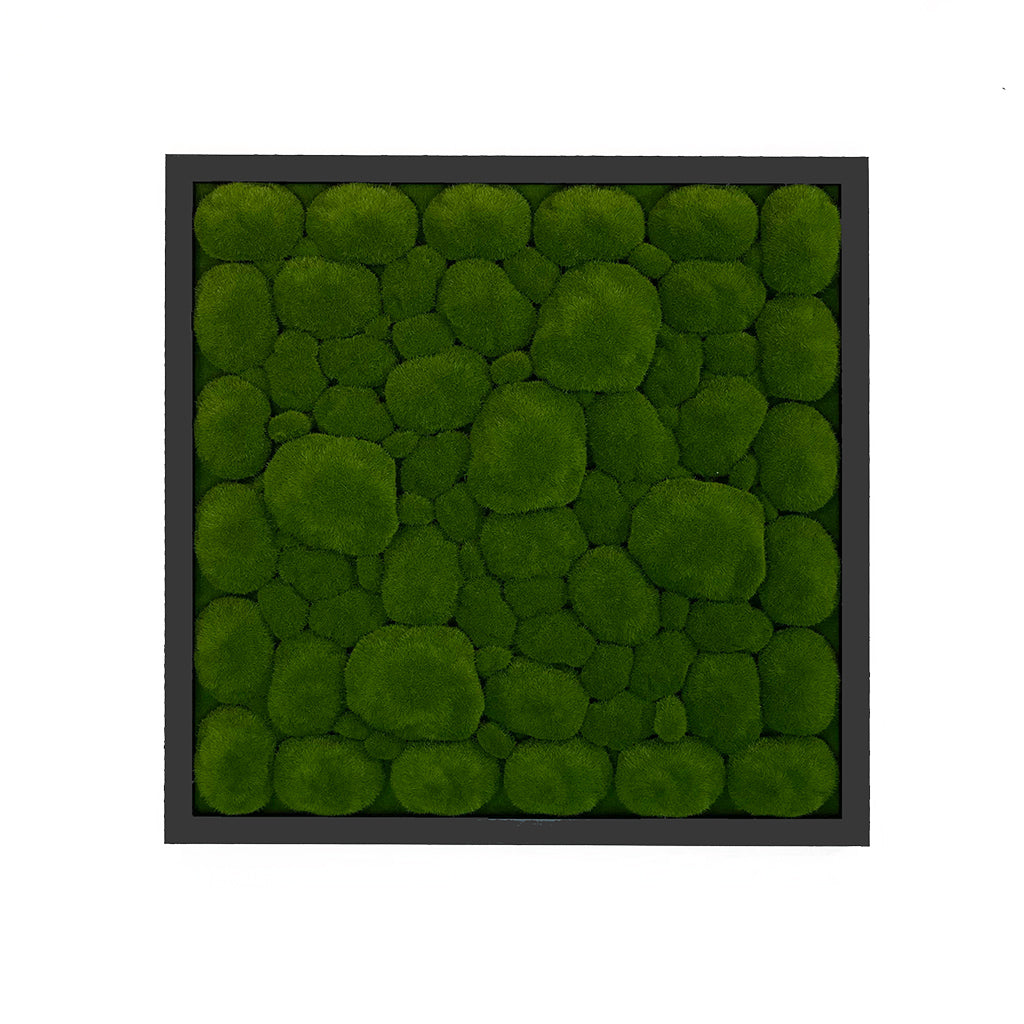 Artificial bun moss wall square art panel MDF Black - 50cm