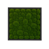 Artificial bun moss wall square art panel MDF Black - 50cm