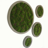 Artificial lumpy moss circular art panel GRP concrete-stone effect