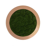 Artificial bun moss circular art panel GRP bronze finish