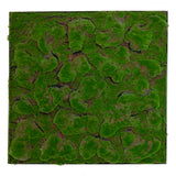 Framed Artificial green flat-lumpy moss art panel 100x100 cm - www.greenplantwalls.co.uk