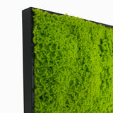 Artificial light green lichen moss art panel 50x50 cm