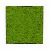 Artificial light green lichen moss art panel 50x50 cm
