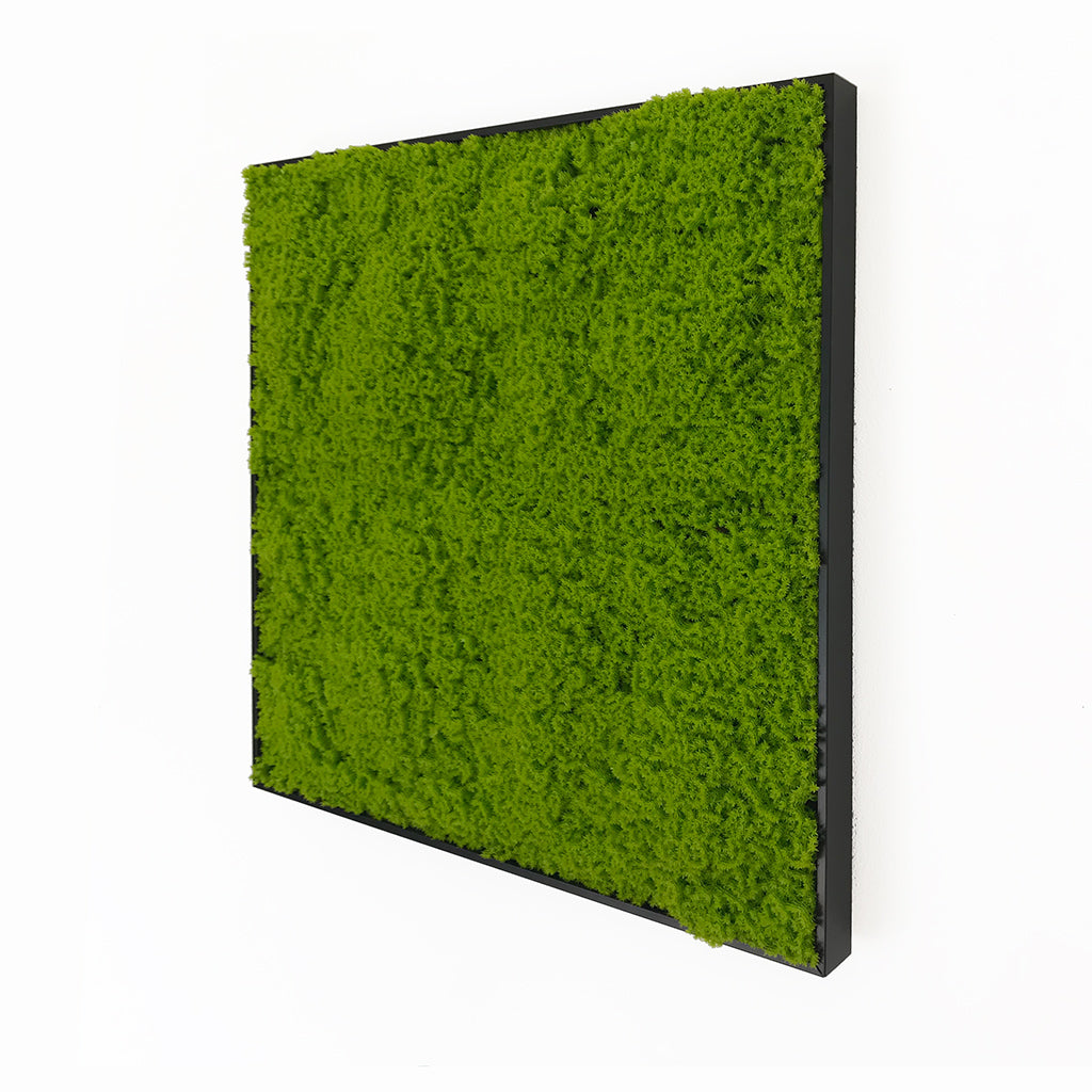Artificial light green lichen moss art panel 50x50 cm