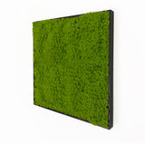Artificial light green lichen moss art panel 50x50 cm