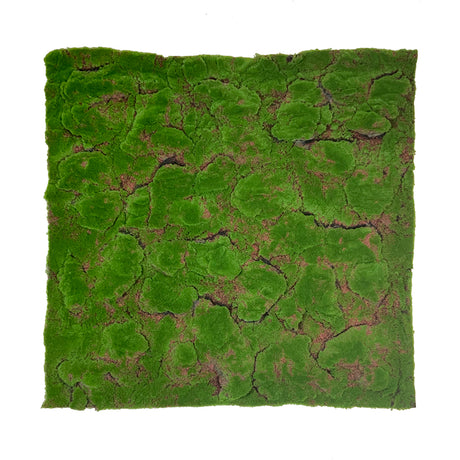 Artificial green flat-lumpy moss panel - www.greenplantwalls.co.uk