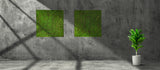 Framed Artificial green sphagnum moss art panel 100x100 cm - www.greenplantwalls.co.uk