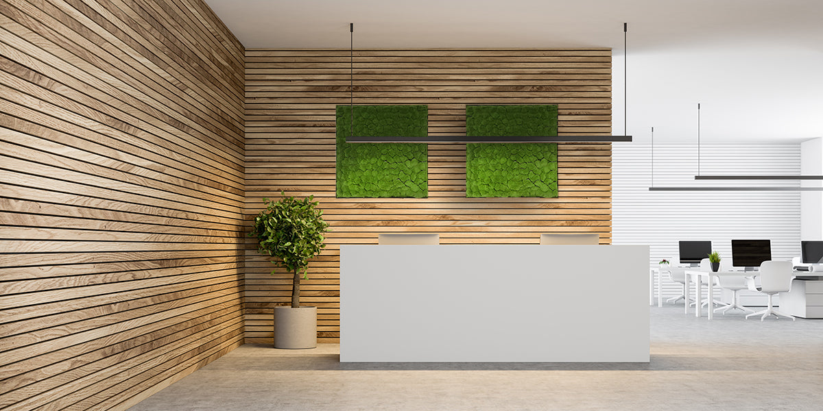 Framed Artificial green bun moss art panel 100x100 cm - www.greenplantwalls.co.uk