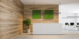 Framed Artificial green bun moss art panel 100x100 cm - www.greenplantwalls.co.uk