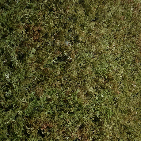 Artificial olive green-brown reindeer moss panel 100x100 cm - www.greenplantwalls.co.uk