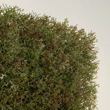 Artificial olive green-brown reindeer moss panel 100x100 cm - www.greenplantwalls.co.uk