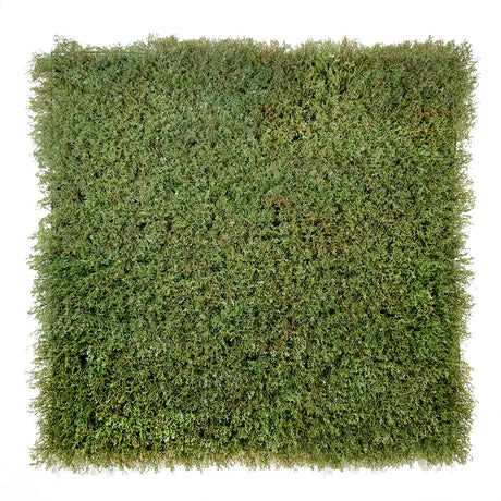 Artificial olive green-brown reindeer moss panel 100x100 cm - www.greenplantwalls.co.uk