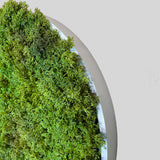 Artificial reindeer moss wall circular art panel MDF White - 50cm