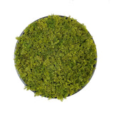 Artificial reindeer moss wall circular art panel MDF Black - 50cm