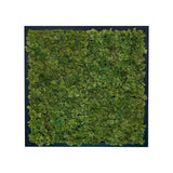 Artificial reindeer moss wall square art panel MDF Black - 50cm