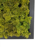 Artificial reindeer moss wall square art panel MDF Black - 50cm